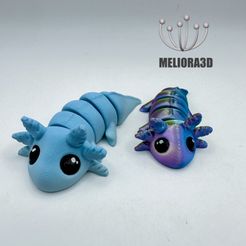 IMG_0902-2.jpg M3D - Flexi Baby Axolotl
