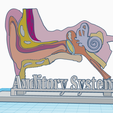 AS.png Human Auditory System