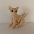 IMG_20190920_185047.jpg Файл STL Котенок BJD・Дизайн 3D принтера для загрузки