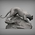 panther4.jpg panther on stone 3D print model