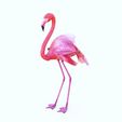 08.jpg DINOSAUR DINOSAUR 3d FLAMINGO DOWNLOAD FLAMINGO 3D MODEL ANIMATED - BLENDER - 3DS MAX - CINEMA 4D - FBX - MAYA - UNITY - UNREAL - OBJ -  FLAMINGO PINK DINOSAUR DINOSAUR FLAMINGO DINOSAUR BIRD