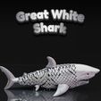 FEED-2023-07-06T115706.578.jpg Great White Shark