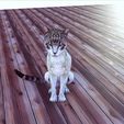 0000.jpg CAT - DOWNLOAD CAT 3d model - animated for blender-fbx-unity-maya-unreal-c4d-3ds max - 3D printing CAT CAT - POKÉMON - FELINE - LION - TIGER