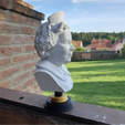 Right.png Queen Elizabeth bust *Commercial licence*