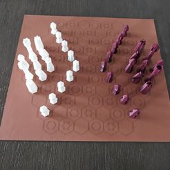IMG_20230727_164825.jpg Free 3D file Gliński Hexagonal Chess Set・3D printer design to download