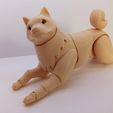 1645777468453.jpg Shiba inu BJD