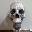 Screenshot-2024-09-03-125939.png Skull Lamp hand - halloween