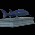 Sturgeon-statue-12.png fish beluga / sturgeon / huso huso / vyza velká statue detailed texture for 3d printing