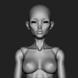 5.jpg Anabel - 3D model woman bjd doll \ Female \ figurines \ articulated doll \ ooak \ 3d print \ character \ face