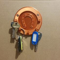 20201129_110749.jpg Wall mounted key ring (Horseshoe)