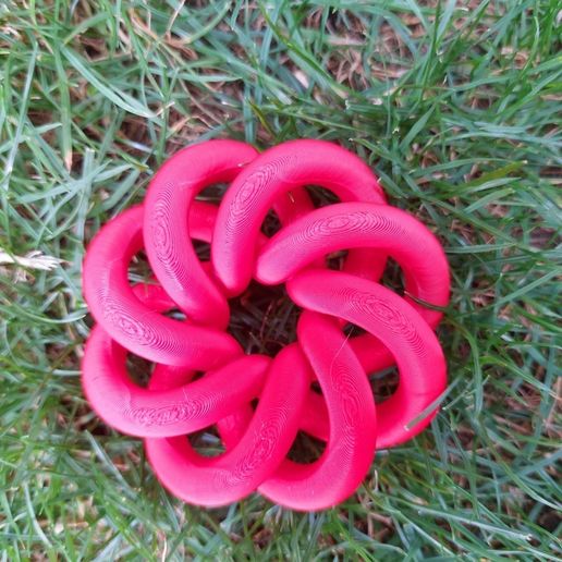 f636d564-8309-44f5-ae41-d2722c282c81.jpg Torus knot decoration