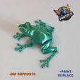 Rana-venenosa-4.jpg Amazon Poison Frog