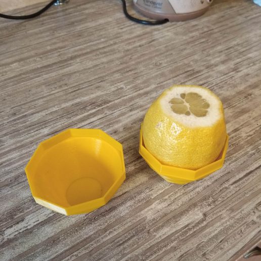 Download free STL file Lemon Pot • Template to 3D print ・ Cults