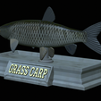 Grass-carp-statue-18.png fish grass carp / Ctenopharyngodon idella statue detailed texture for 3d printing