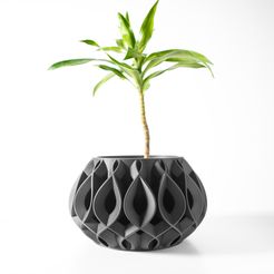 DSC04305.jpg The Viris Planter Pot with Drainage Tray & Stand Included: Modern and Unique Home Decor for Plants and Succulents  | STL File