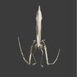 03.jpg Pteranodon: Complete 3D skeletal anatomy.