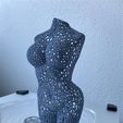 1.jpg Female Body Voronoi