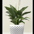 im.png Planter Pot indoor outdoor cactus vase