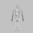 wfsub-0002.jpg Human venous system schematic 3D