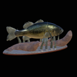 bass-na-podstavci-8.png bass 2.0 underwater statue detailed texture for 3d printing