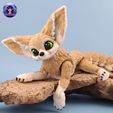 Fennec-Fox-5.jpg Fennek-Fuchs