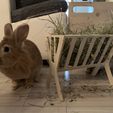 IMG_3300.jpg Hay crib rabbit (wood)