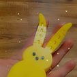 332921143_572300441522268_4461468579211687689_n.jpg Peep Bunny Flexi Ear Sensory Fidget Easter Gift