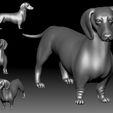 Dutch Hound 3D printable model.jpg Dutch hound Dachshund 3D printable model