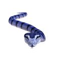 05.jpg ANACONDA - DOWNLOAD ANACONDA 3d model - animated for blender-fbx-unity-maya-unreal-c4d-3ds max - 3D printing ANACONDA SNAKE ANACONDA VIPER SNAKE PYTHON COBRA PITON BASILIK BOA