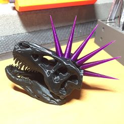 IMG_3824.JPG Punk Rex with separate spikes