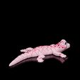 Gecko8.jpg Osga