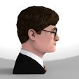 untitled.352.jpg Harry Potter bust ready for full color 3D printing