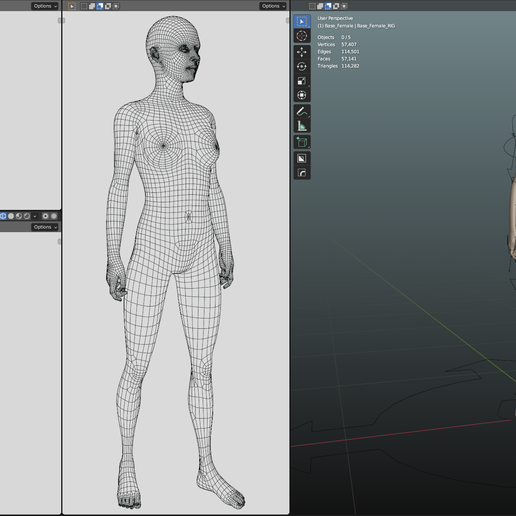 ♀️ Base Mesh Female・ OBJ File for ・Cults