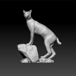 a1.jpg дикая кошка