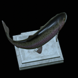 Rainbow-trout-trophy-open-mouth-1-21.png fish rainbow trout / Oncorhynchus mykiss trophy statue detailed texture for 3d printing