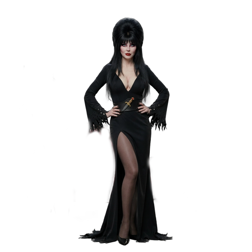 Elvira Mistess of the Dark