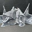 20230519_125033.jpg Red Dragon PRESUP