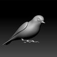 bird11.jpg Bird - Bird decorative - Bird mod