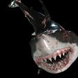 sss.jpg SHARK, DOWNLOAD Shark 3D modeL - Animated for Blender-fbx-unity-maya-unreal-c4d-3ds max - 3D printing SHARK SHARK FISH - TERROR  - PREDATOR - PREY - POKÉMON - DINOSAUR - RAPTOR