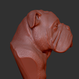 2.png Olde English Bulldogge Busto