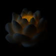 Capture_d_e_cran_2016-03-29_a__09.57.33.png lotus flower