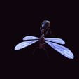 pl.jpg ANT - DOWNLOAD ANT 3d Model - animated for Blender-Fbx-Unity-Maya-Unreal-C4d-3ds Max - 3D Printing ANT ANT - INSECT - POKÉMON - BUG - DINOSAUR - DRAGON - BEE