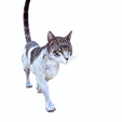 00.png CAT - DOWNLOAD CAT 3d model - animated for blender-fbx-unity-maya-unreal-c4d-3ds max - 3D printing CAT CAT - POKÉMON - FELINE - LION - TIGER