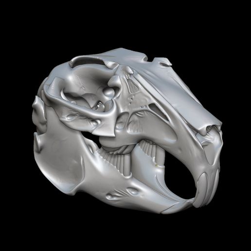 🐇 Rabbit skull・ STL File for 3D printing・Cults