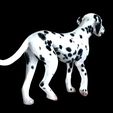 0_00045.jpg DOG - DOWNLOAD Dalmatian 3d model - Animated for blender-fbx- Unity - Maya - Unreal- C4d - 3ds Max - CANINE PET GUARDIAN WOLF HOUSE HOME GARDEN POLICE  3D printing DOG DOG