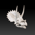 Ekran-Resmi-2024-12-07-13.21.12.png Triceratops Dinosaur Skull 3D Model