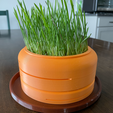 HydroponicCatGrassGrower_04.png Carrot Cat Grass Hydroponic Grower to grow Cat Grass without Soil