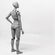 017.jpg Lady Figure the 3D printed female action figure