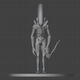 alien_front.png Xenomorph "Big chap" 3D Print Ready Model.