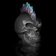 ShopB.jpg Skull Skull Punk